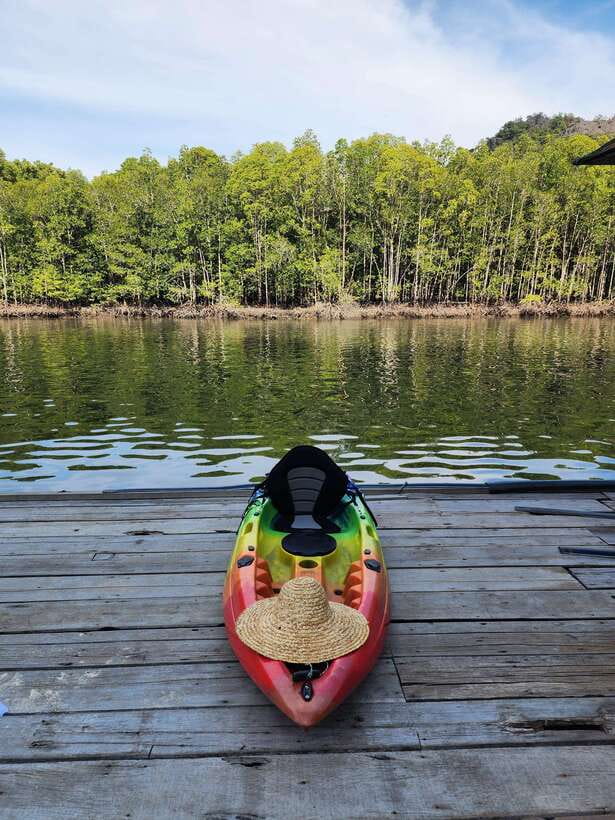 Langkawi : Kilim Geoforest Mangrove Kayak Tour with Lunch - Eagle watching without the circus