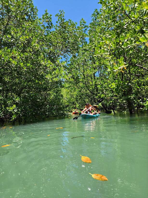 Langkawi : Kilim Geoforest Mangrove Kayak Tour with Lunch - Limestone cliffs, caves, and the optional extras