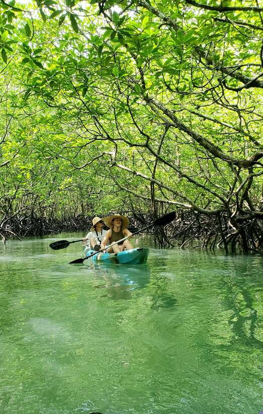 Langkawi : Kilim Geoforest Mangrove Kayak Tour with Lunch - Lunch on the water