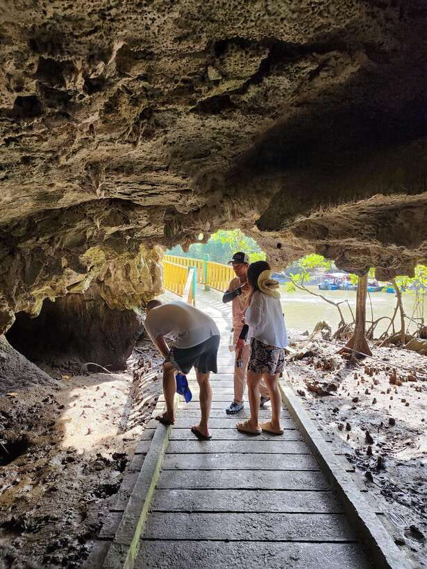 Langkawi : Kilim Mangrove Boat & Fun Kayak Tour with Lunch - The mangrove river cruise and its shifting views