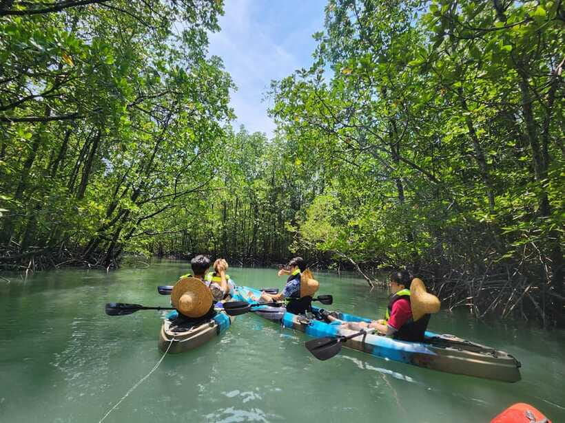 Langkawi : Kilim Mangrove Boat & Fun Kayak Tour with Lunch - Kayaking through the narrow mangrove channels