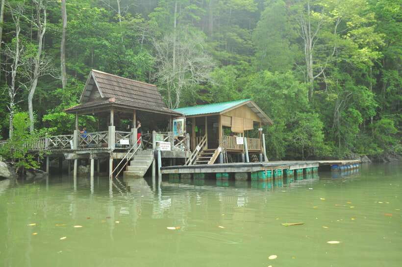 Langkawi: Kilim Mangrove Boat Tour with Lunch and Pickup - Limestone cliffs and a forest shaped by tides