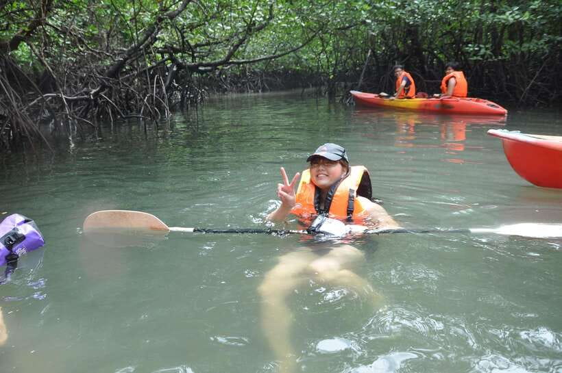 Langkawi: Kilim River Mangrove Safari Kayaking Tour - Bat Cave: a short, atmospheric stop