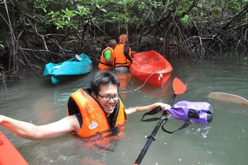 Langkawi: Kilim River Mangrove Safari Kayaking Tour - Clothes, sun protection, and what to leave behind