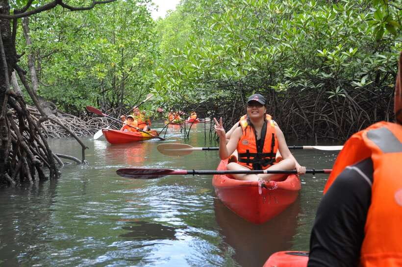 Langkawi: Kilim River Mangrove Safari Kayaking Tour - Who will enjoy this tour most