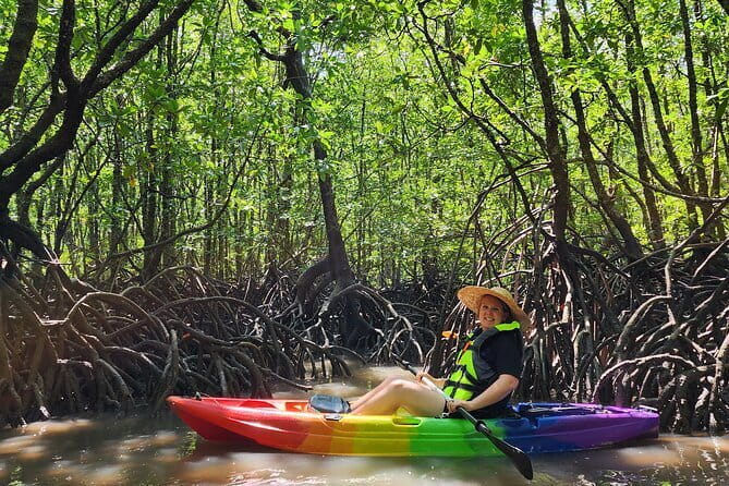 Langkawi Mangrove Kayak Tour by Sham - Starting at Kilim Jetty in Langkawi