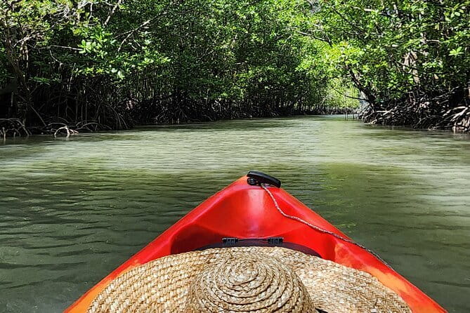 Langkawi Mangrove Kayak Tour by Sham - The 1.5 to 2-hour kayak route