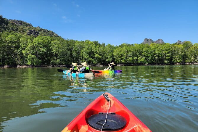 Langkawi Mangrove Kayak Tour by Sham - The boat ride into the mangroves