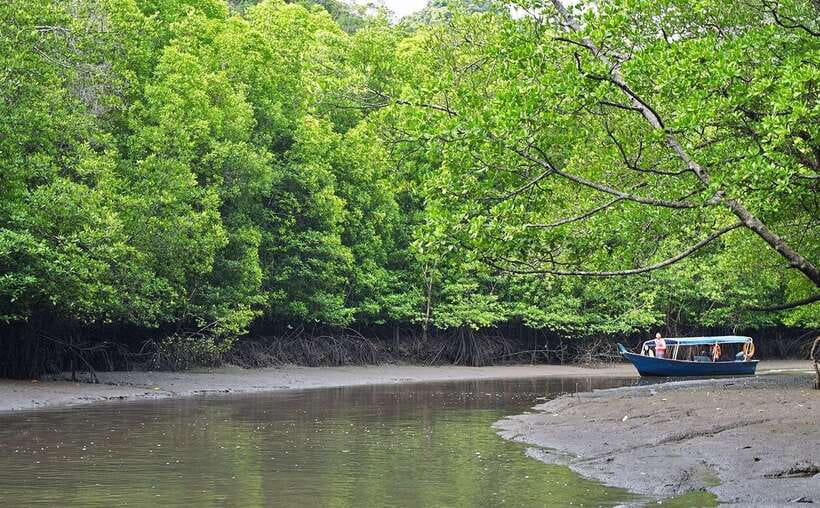 Langkawi: Mangrove Kilim UNESCO Geopark & Cave Tour - Getting to Kilim from Langkawi