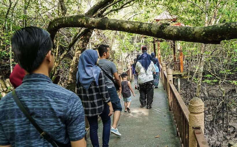 Langkawi: Mangrove Kilim UNESCO Geopark & Cave Tour - Fish farms, rays, and a practical lunch stop