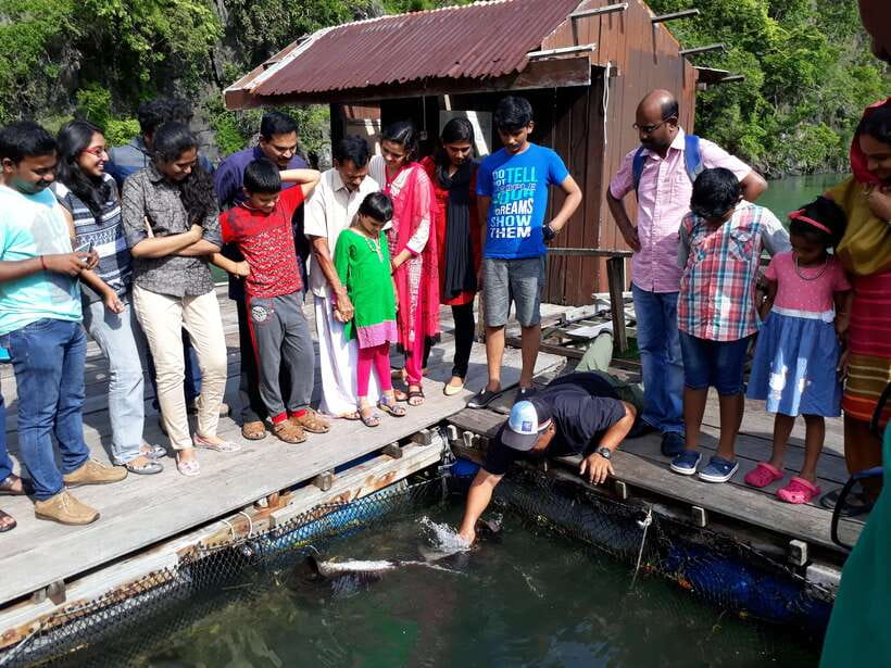 Langkawi: Mangrove Kilim UNESCO Geopark & Cave Tour - Guides, boats, and the quality of the day