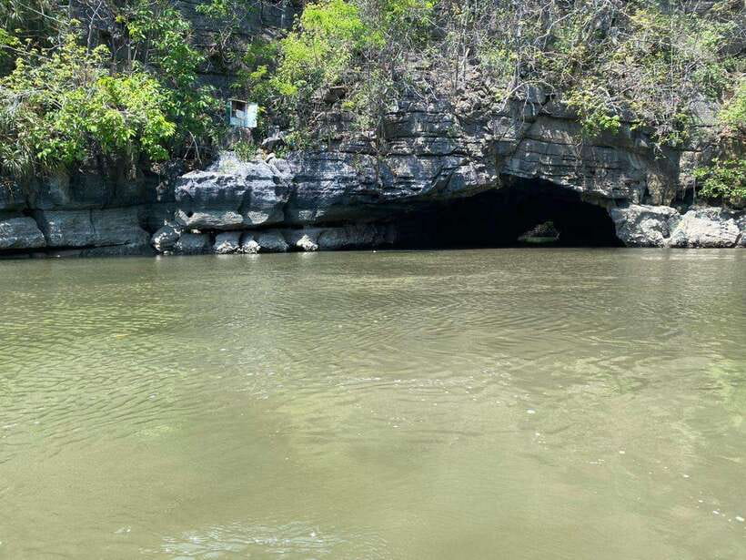 Langkawi Mangrove Monkey Package - Mangrove channels and swimming monkeys