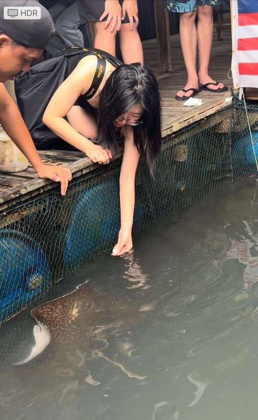 Langkawi Mangrove Monkey Package - The floating fish farm and the lunch question