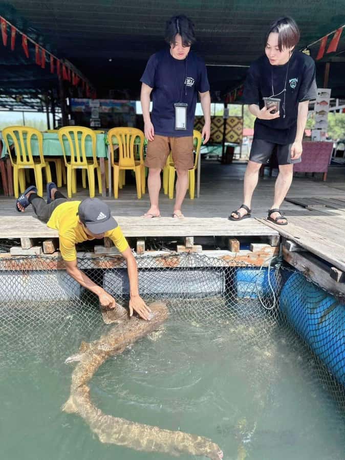 Langkawi Mangrove : Sharing Boat 3Hour estimated (lunch) - Guide quality and communication