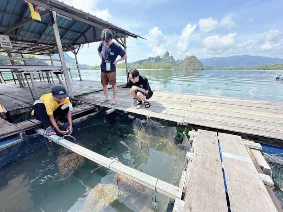 Langkawi Mangrove : Sharing Boat 3Hour estimated (lunch) - Practical booking advice for a smoother day