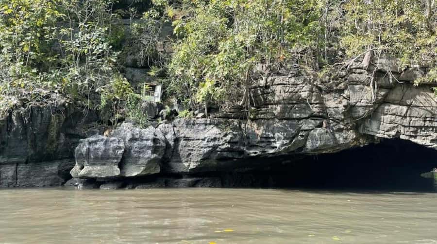 Langkawi Mangrove Tour : Estimated 3 hours Lunch Available - Mangrove channels, mudflats, and limestone cliffs