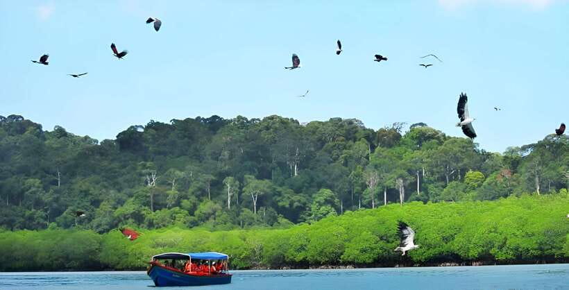Langkawi: Mangrove Tour with Kilim Geoforest Park & Bat Cave - Tanjung Rhu Viewpoint and the final beach