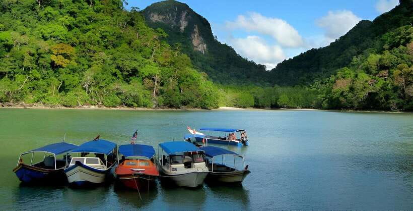 Langkawi: Mangrove Tour with Kilim Geoforest Park & Bat Cave - Why this $31 boat trip can be good value
