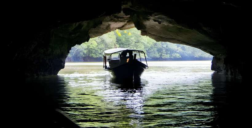 Langkawi: Mangrove Tour with Kilim Geoforest Park & Bat Cave - Monkey encounters at the island stop