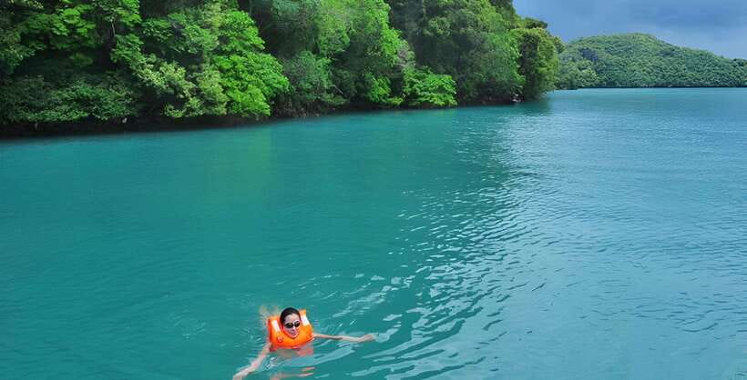 Langkawi: Mangrove Tour with Kilim Geoforest Park & Bat Cave - Watching eagles from the mangrove boat
