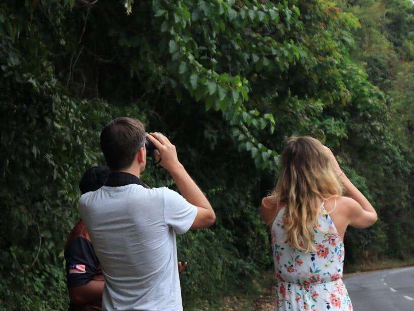 Langkawi: Nighttime Rainforest Tour with Nature Guide - Why Gunung Raya is the right starting point