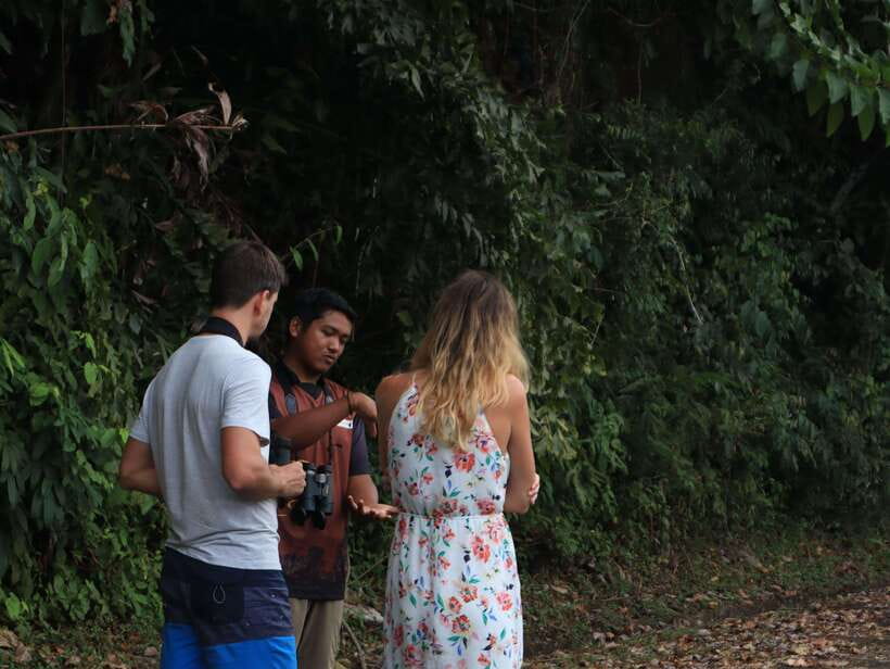 Langkawi: Nighttime Rainforest Tour with Nature Guide - Descending toward Lubuk Semilang after dark