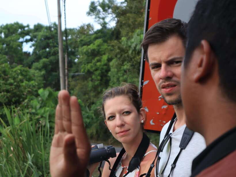 Langkawi: Nighttime Rainforest Tour with Nature Guide - Who will enjoy this experience most