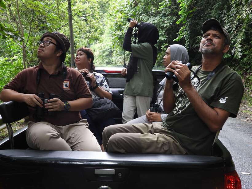 Langkawi: Nighttime Rainforest Tour with Nature Guide - Should you book the Gunung Raya night tour?