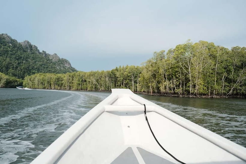 Langkawi: Private 2-Hour Mangrove Tour with Hotel Transfer - Starting at Kilim Geoforest Park
