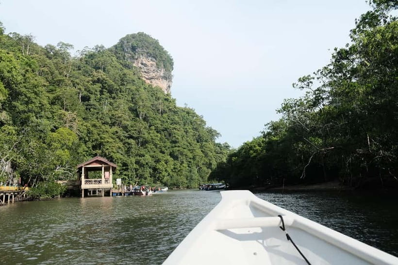 Langkawi: Private 2-Hour Mangrove Tour with Hotel Transfer - Entering Bat Cave for RM2