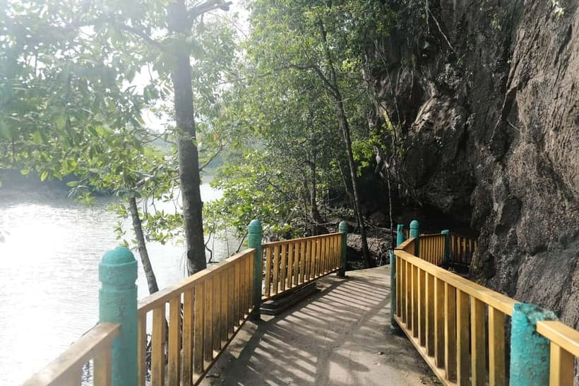 Langkawi: Private 2-Hour Mangrove Tour with Hotel Transfer - Passing through Crocodile Cave