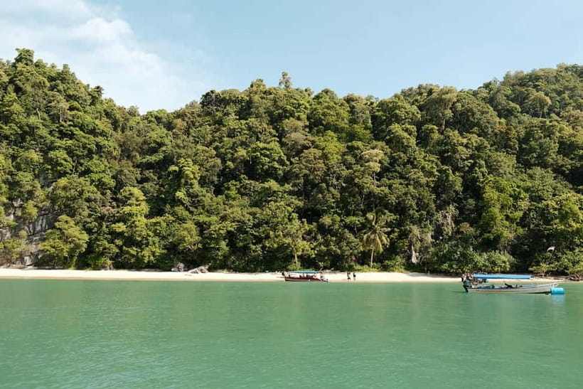 Langkawi: Private 2-Hour Mangrove Tour with Hotel Transfer - How the two-hour schedule really feels