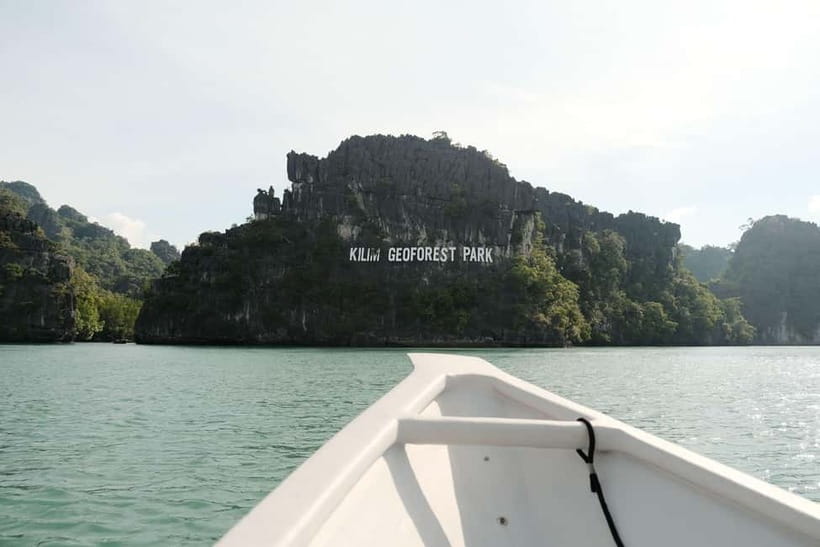 Langkawi: Private 2-Hour Mangrove Tour with Hotel Transfer - Cruising through the mangrove forest