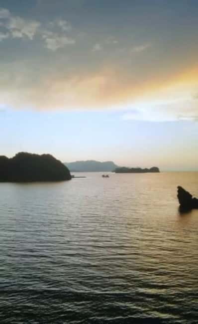 Langkawi: River Cruise and Sunset Cruise Lunch Available - Eagle feeding at the mangrove point