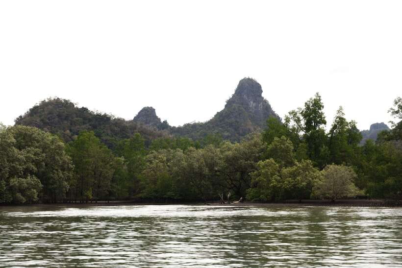 Langkawi Royal Mangrove Tour with Snorkeling Package - Who Will Enjoy This Tour Most