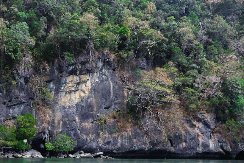 Langkawi Royal Mangrove Tour with Snorkeling Package - Views of the Floating Restaurant and Gorilla Mountain