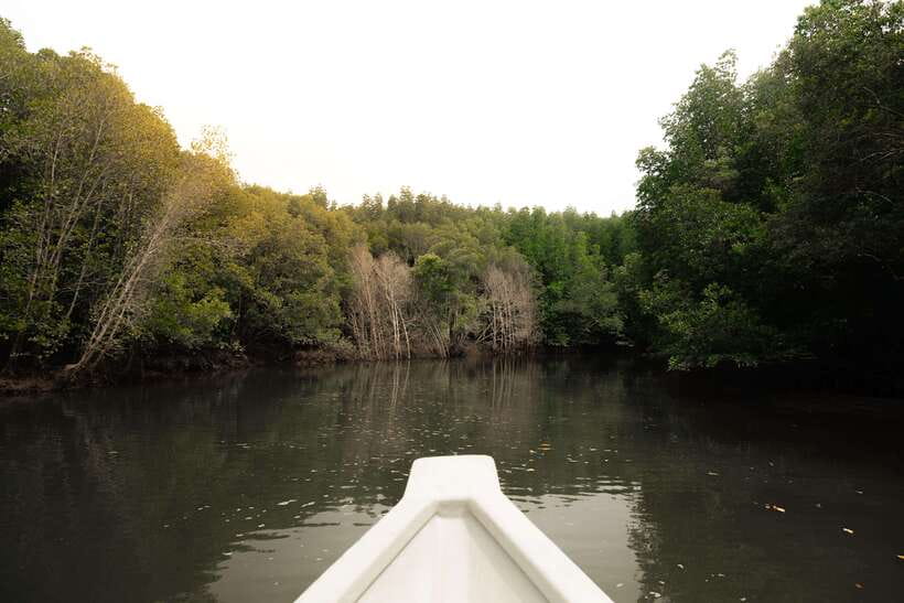 Langkawi Royal Mangrove Tour with Snorkeling Package - What to Bring for a Wet Three Hours