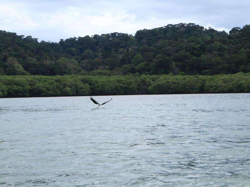 Langkawi: Southern Island Geopark Tour - Beras Basah, Teluk Cawi, and a short beach break