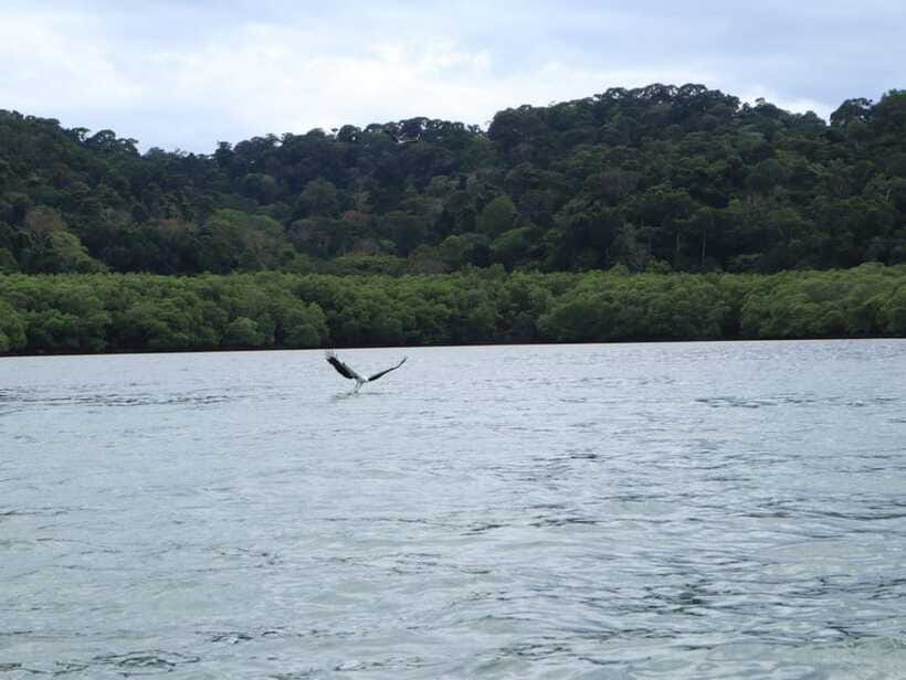 Langkawi: Southern Island Geopark Tour - What the boat ride adds to the experience