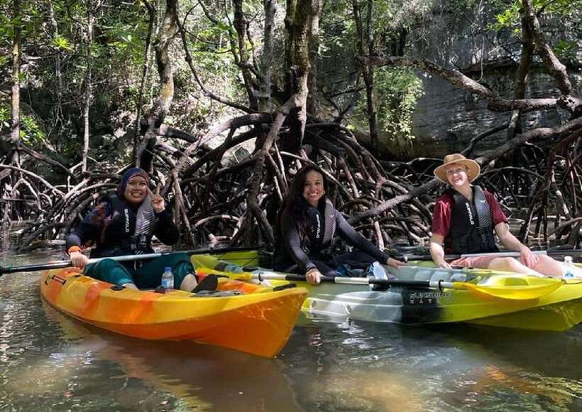 Langkawi: Sunset Kayaking Tour - Why the tide can change the route