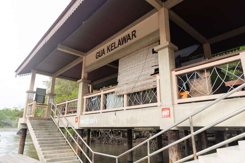 Langkawi Tanjung Rhu Mangrove Private Boat Tour 2 Hours - Bat Cave and a darker side of the park