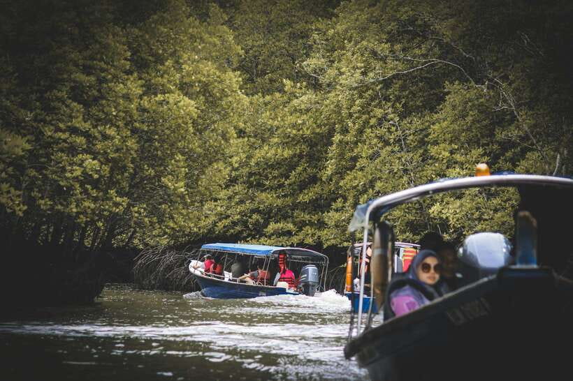 Langkawi: Tanjung Rhu Mangrove Speedboat Tour - Watching sea eagles over the Andaman Sea