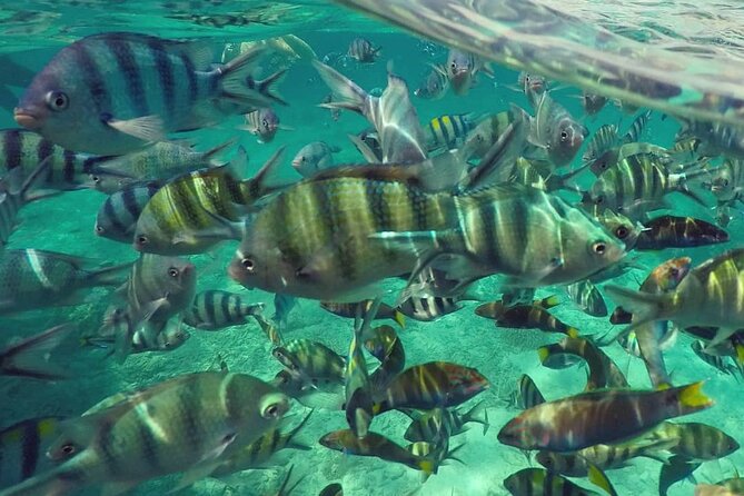 Langkawi Tour A - Land Tour & Pulau Dangli Snorkeling - Pantai Cenang closes the day with a livelier mood