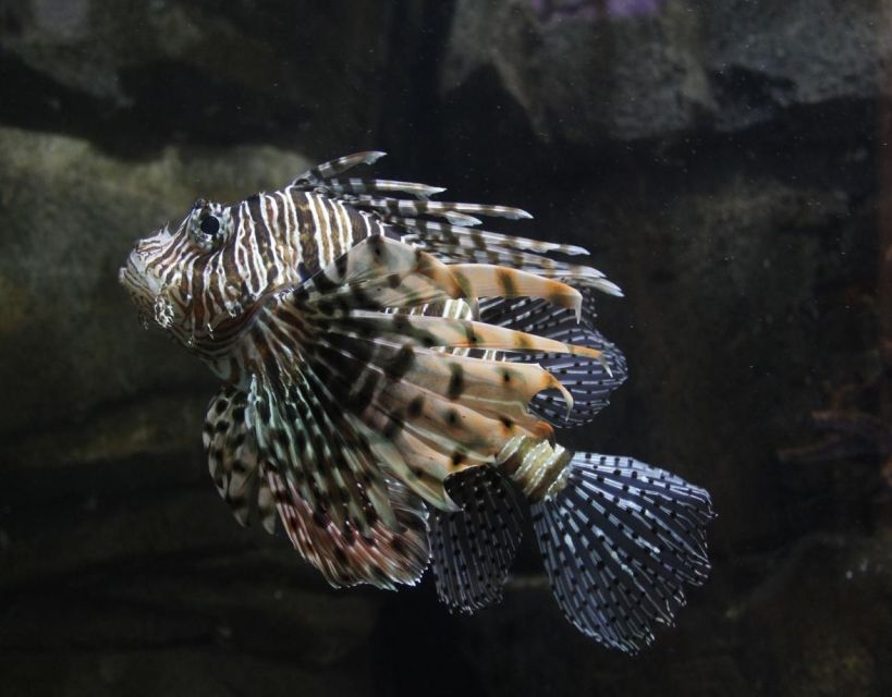 Langkawi: Underwater World Langkawi Entry Ticket - Booking, cancellation, and practical details