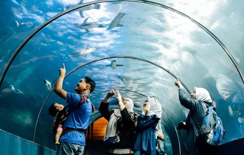 Langkawi: Underwater World Langkawi Entry Ticket - Starting with the Marine Life Zone