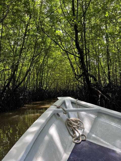 Langkawi: UNESCO Global Geopark Mangrove Cruise - The 30-minute sightseeing and walking portion