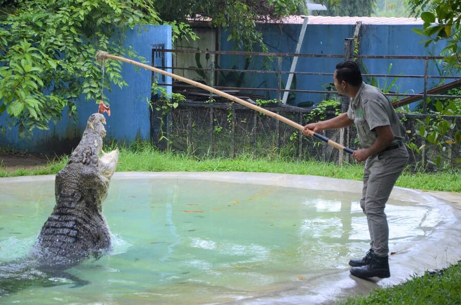 Langkawi: Wildlife Park Admission Ticket - Tropical gardens and the first animal sightings