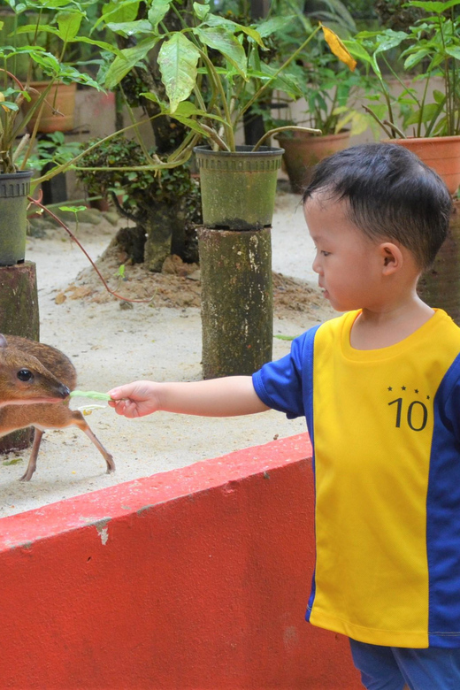 Langkawi: Wildlife Park Admission Ticket - The aviary for parrots and hornbills