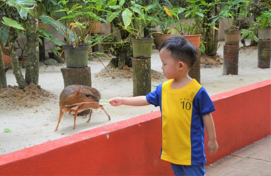 Langkawi: Wildlife Park Admission Ticket - From emus and pelicans to koi ponds