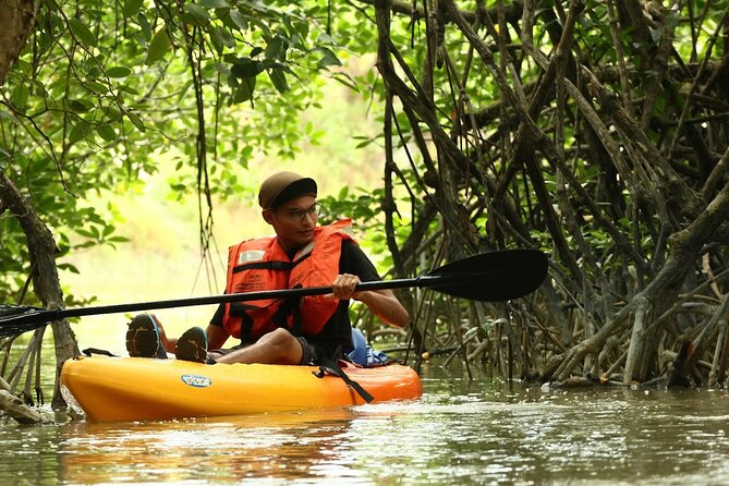 Lebam River Kayaking Adventure - The key details at a glance